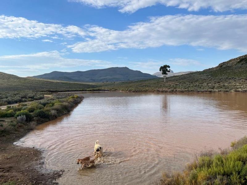 4 Bedroom Property for Sale in Montagu Rural Western Cape
